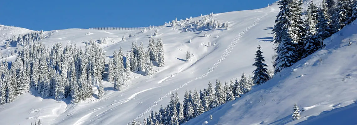 gef&uuml;hrte Skitouren Anf&auml;nger &Ouml;sterreich